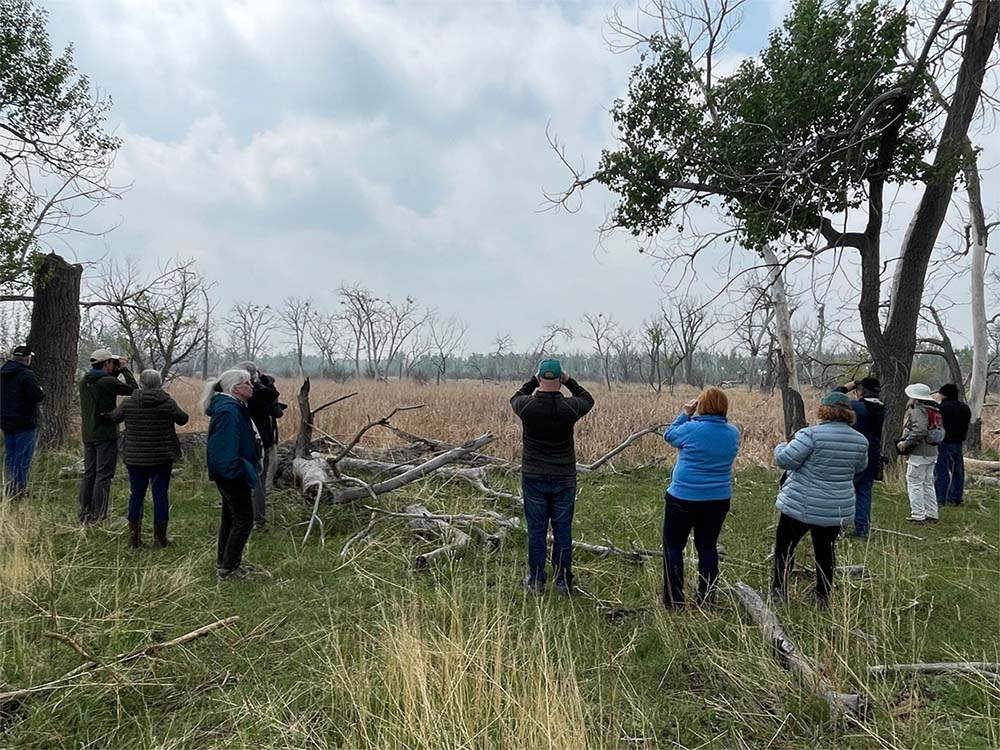 A group of people standing in a field with trees looking through binoculars.