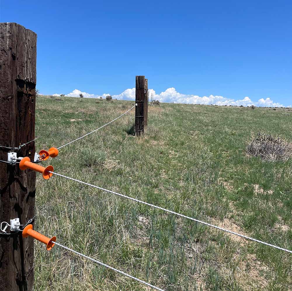 A section of fencing dividing two paddocks.