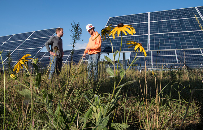 Solar construction workers talking and flowers in the foreground.