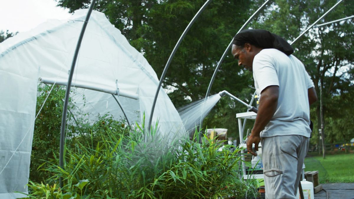 A man watering plants in a hoop house.